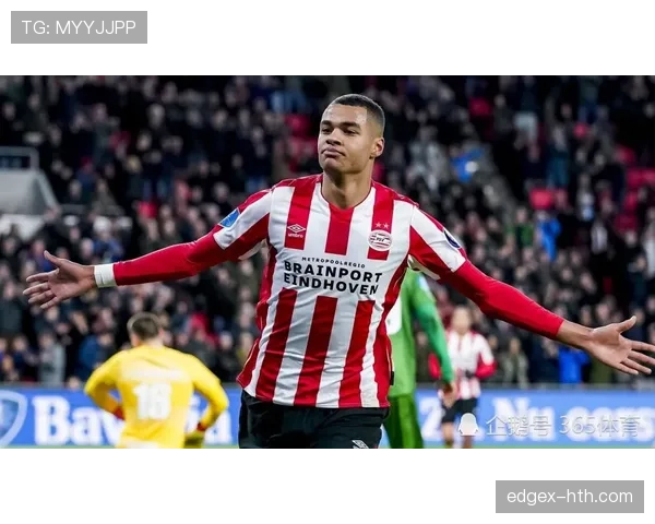 拜仁慕尼黑最新转会消息与引援动态